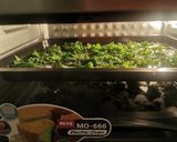 Foto langkah ke 4 dari resep Kale chipz.