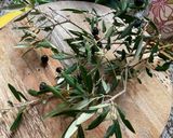 Une image de l'étape 5 de 🐝🫒Tapenade olives noires 🧆🍃🥄ma recette🌽 provençale 🥙🧄.