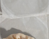 Foto del paso 3 de la receta: Gyozas de langostino y soja