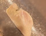 A picture of step 1 of Chicken rollatini.