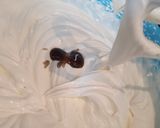 Pas rețetă Crema de mascarpone pt torturi si prajituri 2 fotografie