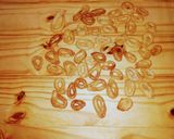 Foto del paso 5 de la receta: Taralli