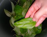 Foto langkah ke 1 dari resep Aia Aka/ Es Cincau Hijau Daun Rambat.
