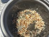 Arroz de coco