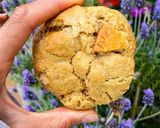 Foto del paso 3 de la receta: Cookies de DINOSAURUS