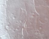 Foto del paso 5 de la receta: Merengue para decorar