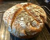 Foto do passo 4 de Pão integral de fermentação naturalPain aú levain naturel