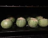 Une image de l'étape 5 de Petite courgettes farcies à la béchamel.