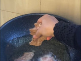 Dendeng Balado Kentang