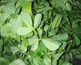A picture of step 1 of Methi ka Mathi.
