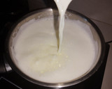 Foto del paso 1 de la receta: Yogurt natural casero