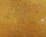 A picture of step 3 of Fry moong daal.