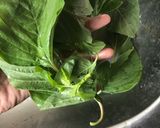 Foto langkah ke 1 dari resep Sayur Bening.