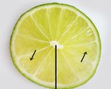 A picture of step 5 of Decorative Citrus Slices: Lemon, Lime, and Orange.