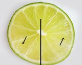 A picture of step 7 of Decorative Citrus Slices: Lemon, Lime, and Orange.