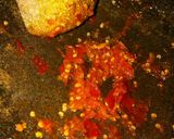 Foto langkah ke 4 dari resep Ayam Geprek Pedas.