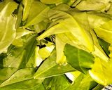 Foto langkah ke 1 dari resep Tumis daun gingseng jawa.