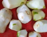 A picture of step 1 of Pumpkin,dal curry…(in malayalam pulincurry).