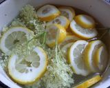 Bodza üdítő recept fázis 1 fotója