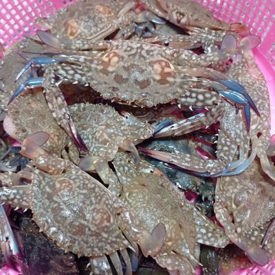 Langkah 1