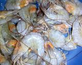Foto langkah ke 1 dari resep Botok Udang 💫.