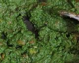 A picture of step 4 of Palak paneer.