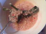 Bubur Mutiara Santan