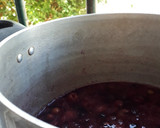 Foto del paso 4 de la receta: Jugo de uva espeso🍇