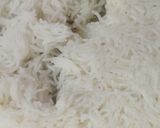 A picture of step 1 of Rakhi Special - Narali Bhat.