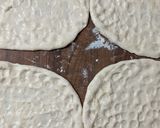 A picture of step 7 of Easy Turkish bread.