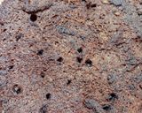 Foto langkah ke 9 dari resep Cake Coklat Kopi.