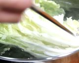 匠弄。酸白菜 - 低鹽山東酸白菜的食譜步驟5照片