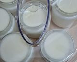 Foto del paso 7 de la receta: Yogur natural casero con crema de leche en yogurtera 🍶 fermentación prolongada 🍶 muchos tips