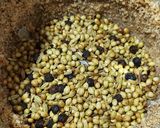 A picture of step 3 of Panjiri - Janmashtami Divine Prasad.