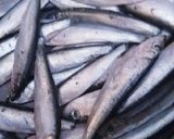 Pas rețetă Hamsii cu sos de usturoi🐟🐟🐟 1 fotografie