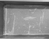 عکس مرحله 1 از دستور پاند کیک اسفنجی دو رنگ با توستر