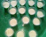 Foto langkah ke 2 dari resep Puding semangka.