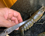 Foto del paso 4 de la receta: Langostinos al mojo de ajo estilo MAMUCAS