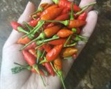 Hình bước làm 4 của món Cá tra chưng chuối cây