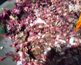 A picture of step 2 of Chaulai/Amaranth dry sabzi with sesame seeds.