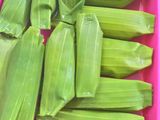 Otak-otak Tuna