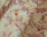 Une image de l'étape 5 de Recette de lasagne au poulet.