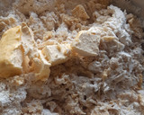 Foto del paso 2 de la receta: Conchas