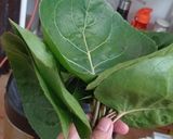 Foto langkah ke 4 dari resep Gulai telor tahu daun mangkokan.