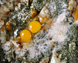 Foto del paso 2 de la receta: Maaqouda
