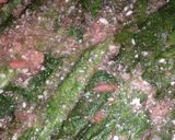 A picture of step 9 of Iraqi Dolma My Way.