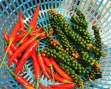 Hình bước làm 2 của món Bò ngâm dấm