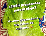 Foto del paso 3 de la receta: Sarmale de Verano