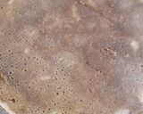 Foto del paso 10 de la receta: Torta panqueque manjar nuez