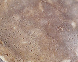 Foto del paso 10 de la receta: Torta panqueque manjar nuez